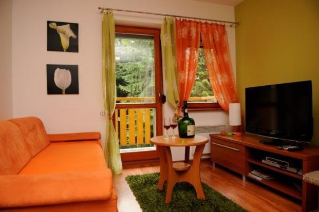 Apartament Przy Kominku Zakopane Ngoại thất bức ảnh